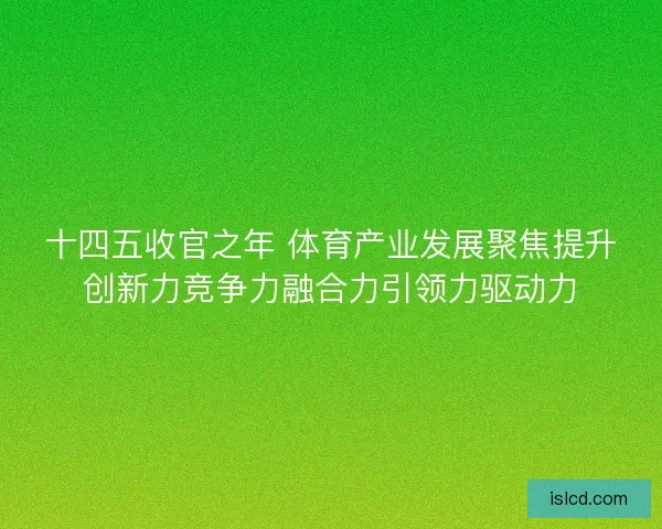 十四五收官之年 体育产业发展聚焦提升创新力竞争力融合力引领力驱动力