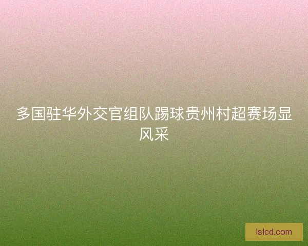 多国驻华外交官组队踢球贵州村超赛场显风采