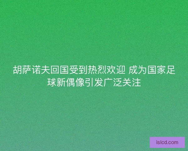 胡萨诺夫回国受到热烈欢迎 成为国家足球新偶像引发广泛关注