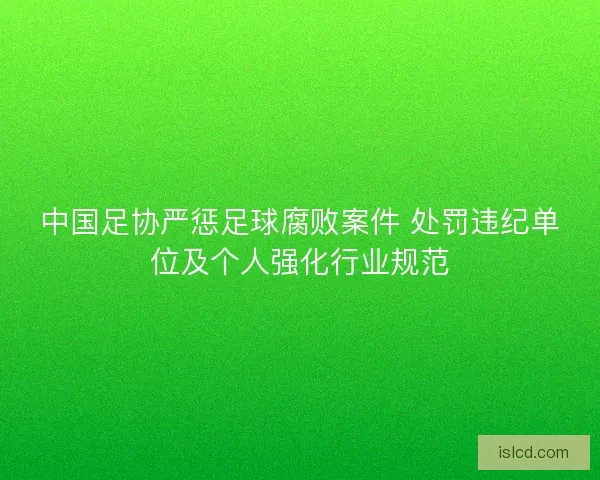 中国足协严惩足球腐败案件 处罚违纪单位及个人强化行业规范 中国足协严惩足球腐败案件 处罚违纪单位及个人强化行业规范
